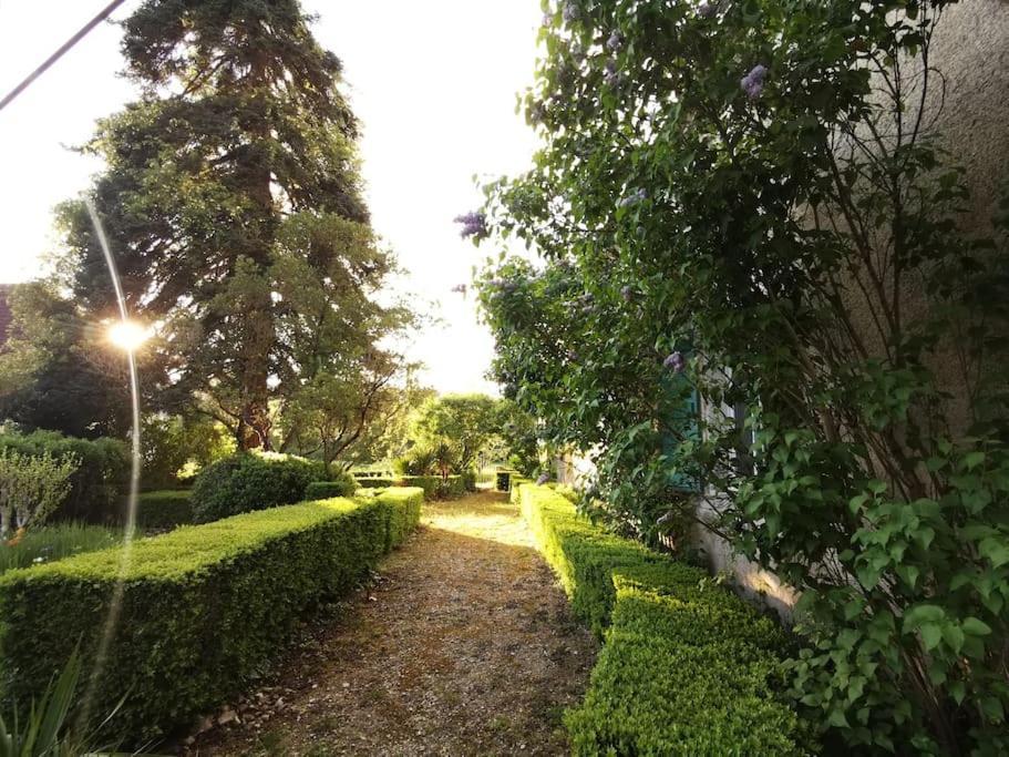 Charmant Studio Avec Jardin A La Campagne Sur Le Chemin De Saint Jacques De Compostelle Apartment Lauzerte Luaran gambar