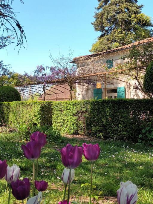 Charmant Studio Avec Jardin A La Campagne Sur Le Chemin De Saint Jacques De Compostelle Apartment Lauzerte Luaran gambar